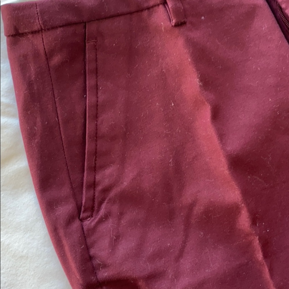 Zara Basic Pants - image 3